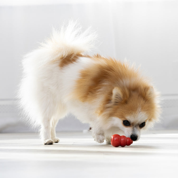 KONG Classic Dog Chew Toy: Durable, Fun, and Engaging for All Dogs