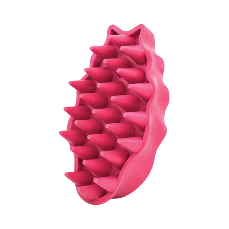 KONG(R) ZoomGroom(R) Raspberry Brush Large