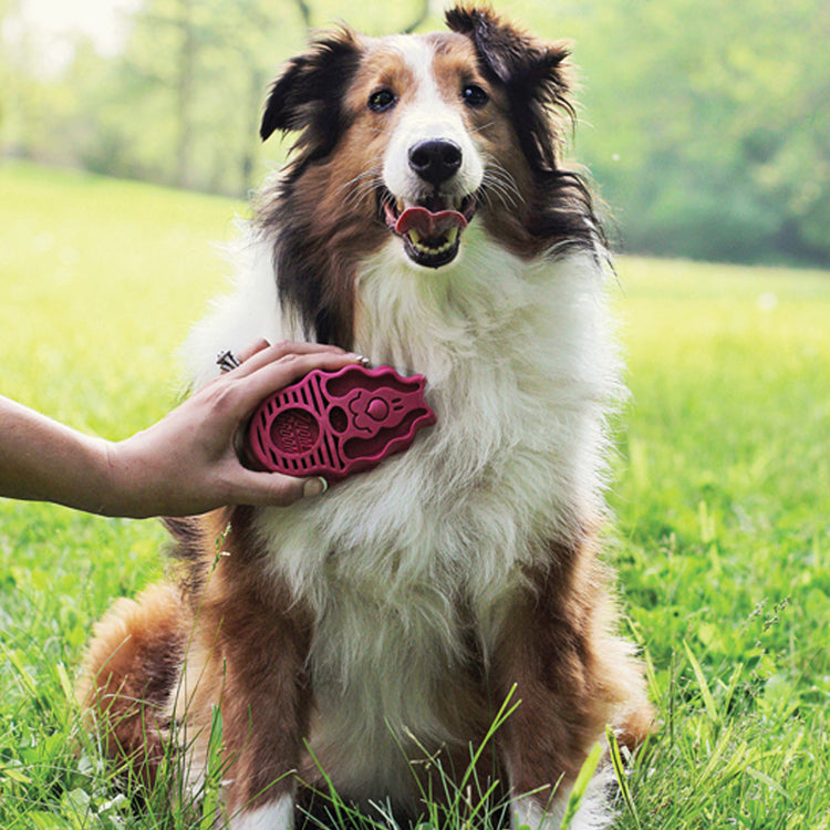 KONG(R) ZoomGroom(R) Raspberry Brush Large